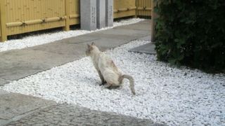 雰囲気があります　