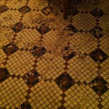 落花生の殻だらけの床