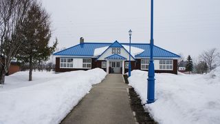 ビーンズさんの家で豆について学ぶ