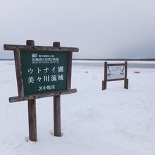 完全に凍ってしまっています。