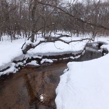 気軽に北海道の大自然を楽しめます