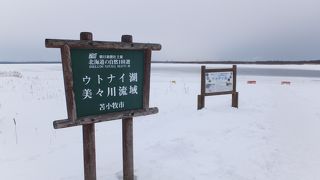 新千歳空港から気軽に行ける北海道の大自然