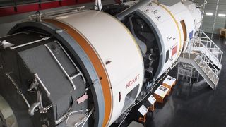 実物ミールが見どころです！