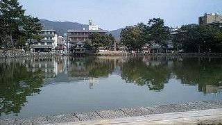 池の周りは憩いの場！