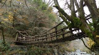 奥祖谷二重かずら橋