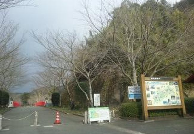 岩屋公園キャンプ場