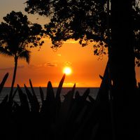 サンセット