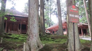 落ち着いた空気感