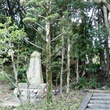 万年寺山の「長松山萬年寺」と刻んだ石柱や十三重の石塔