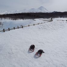 スノーシューです。無料レンタルですよ！（2013年3月）