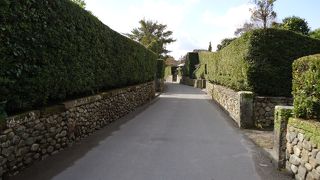 石垣と生垣が印象的