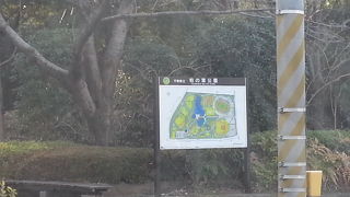 きれいな公園