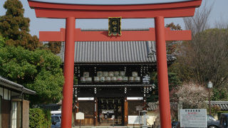 京都のもう一つの梅の名所「梅宮大社」
