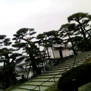 広い城内には松の木がたくさんあります。