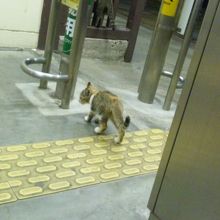 下総橘駅