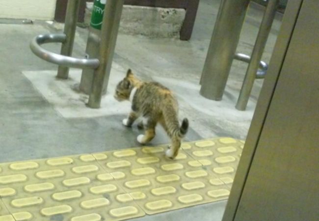 下総橘駅