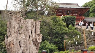 運が良いと結婚式を見ることができる