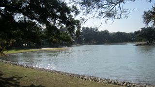 大きな池をのんびりお散歩