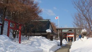 手軽に市内を見渡せます