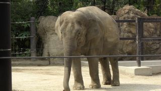 安くて楽しい！