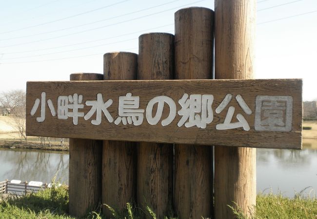 小畔水鳥の郷公園 クチコミ アクセス 営業時間 川越 フォートラベル