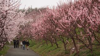 めっちゃキレイ。
