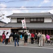 しらすを食べよう：並んでも行く価値あり