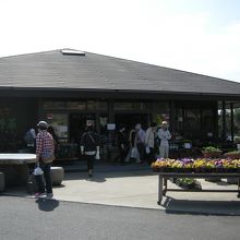 お野菜はこちらで