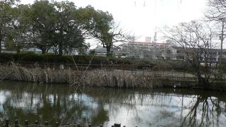 京街道（きょうかいどう）沿いの大きな灌がい池だった阪今池公園