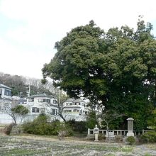 中古三十六歌仙の一人「能因塚」の碑