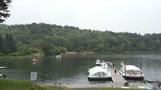 緑豊かな高原にある小さな湖。雰囲気が素晴らしいです。
