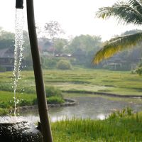 お庭、鑓水、池、ライステラス