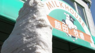 境川沿いのかくれ人気スポット