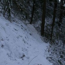道幅のせまいところもあります