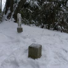 弁天岳の三角点