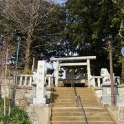 鎮守として京都東山より稲荷を勧請して祀ったのが矢切神社