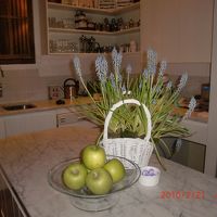 夜のキッチン、お湯を沸かして自由に紅茶が飲めます