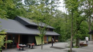 東京から日帰りでも満喫できます