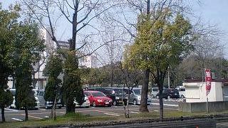 一日満喫できます！