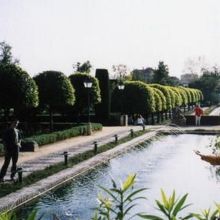 アルカサル内の庭園