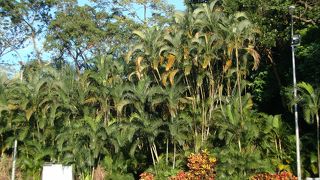 雑踏から離れのんびりしたい時に