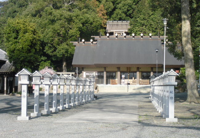 浜名湖の寺・神社 ランキング