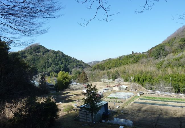 長閑な風景