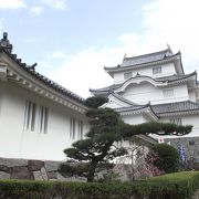 小ぢんまりした綺麗な博物館です