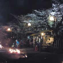 炎と桜、そして神社。不思議な春の夜をみんなで楽しめます。