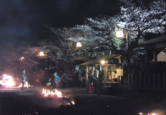 春の宵をみんなで楽しむ参加型のお祭り。