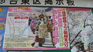 浅草観音うらで一葉さくらまつり、恒例の吉原おいらん道中があります