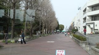 防災センターの隣というか、一体となっている感じです