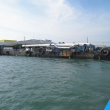 バイバイ　ネグロス♪　バイバイ　ターミナル♪