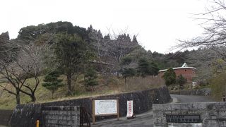 千葉県薬草園